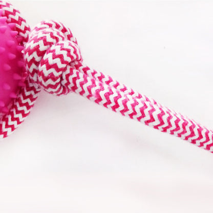 Fuchsia Molly rubber chew training dog toy with textured surface, designed for durable play and oral stimulation for pets.