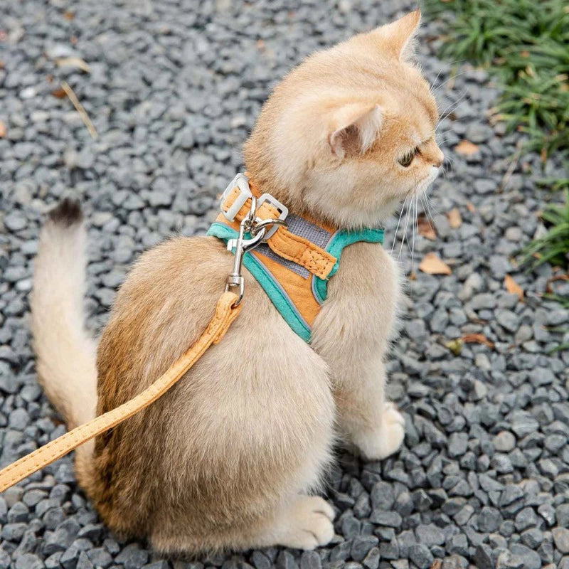 Teal Simba adjustable pet cat harness with leash set, reflective vest for pets, secure fit, and visibility during walks.