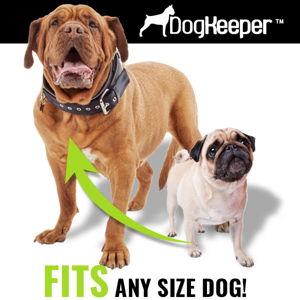 Emerald Coco DogKeeper pet accessory for dogs, shown in a natural setting, designed to keep pets secure and comfortable.