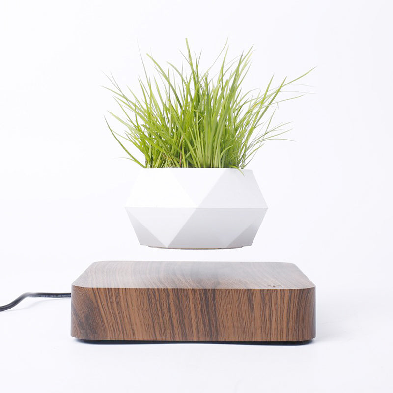 Magnetic levitation flowerpot from Teal Simba with rotating flower display, designed as a novelty levitating lighting decor piece.