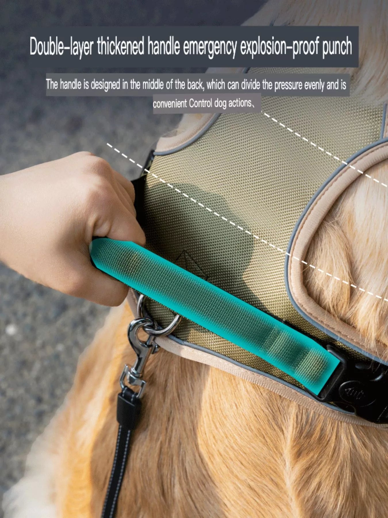 Reflective pet harness by Pear Daisy, adjustable and padded for dogs, featuring bright reflective straps for safety during walks.
