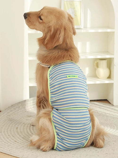 Striped physiological pet functional clothing by Pear Daisy, designed for comfort and health, shown in a home setting.