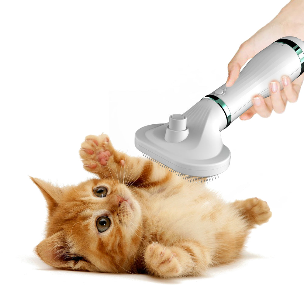 Maroon Asteria Pet Comb Hair Dryer for petcare, with a sleek design and adjustable settings for drying and grooming pets.