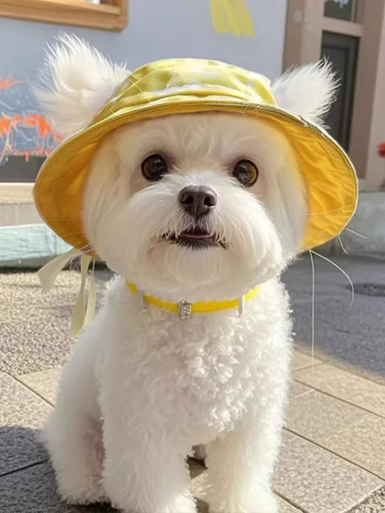 Pear Daisy pet bucket hat with wide brim, made of soft fabric, perfect for outdoor protection and stylish pet accessories.
