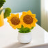 Periwinkle Azolla flower vase for dining table decor, showcasing a stylish ceramic vase with fresh flowers on a table.