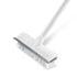 Pear Eucalyptus floor scrub brush with long handle for cleaning floors in home and garden, featuring sturdy bristles and ergonomic design.