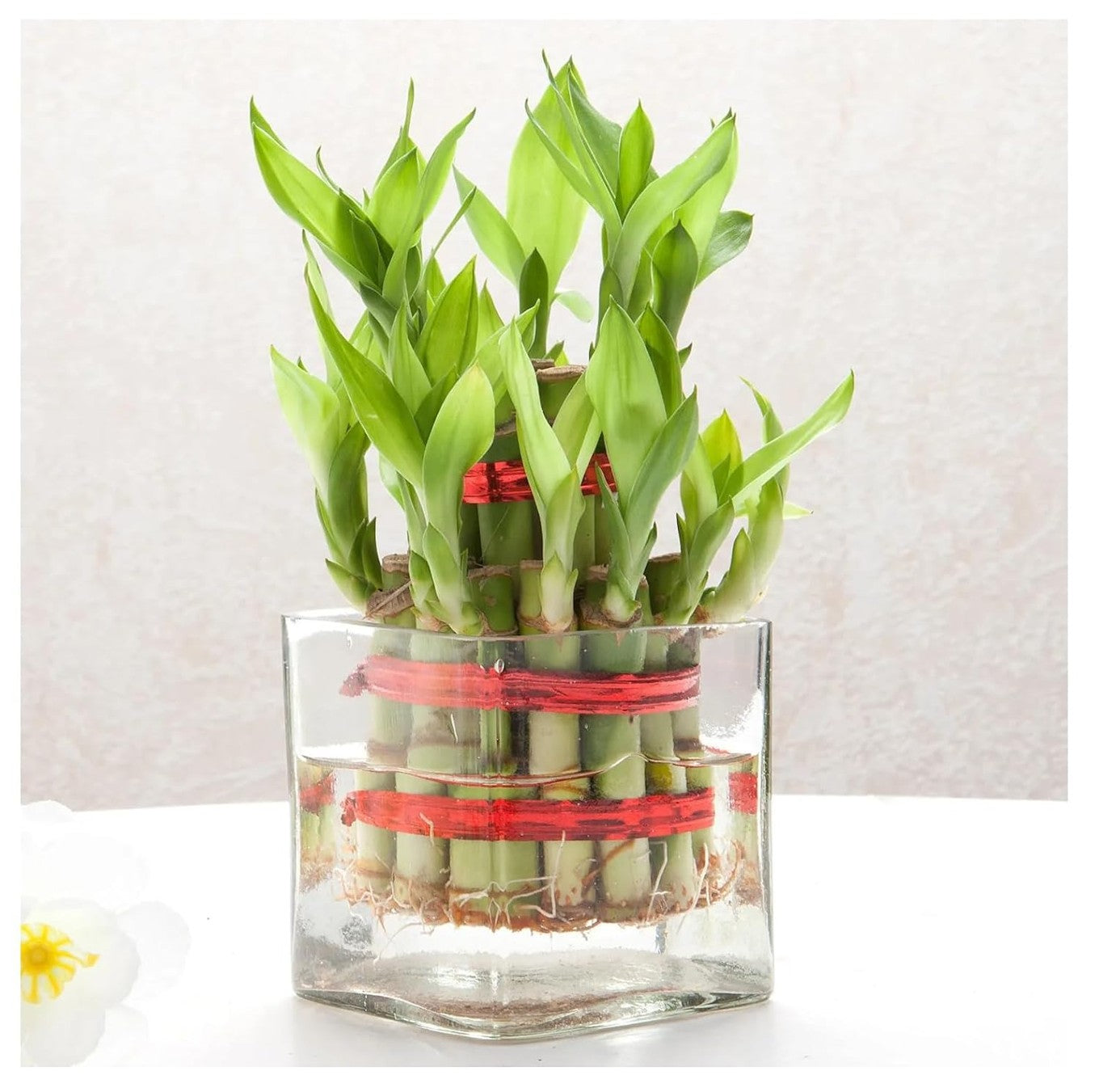 Set of three decorative vases by Periwinkle Azolla for home decor, featuring various shapes and neutral finishes.