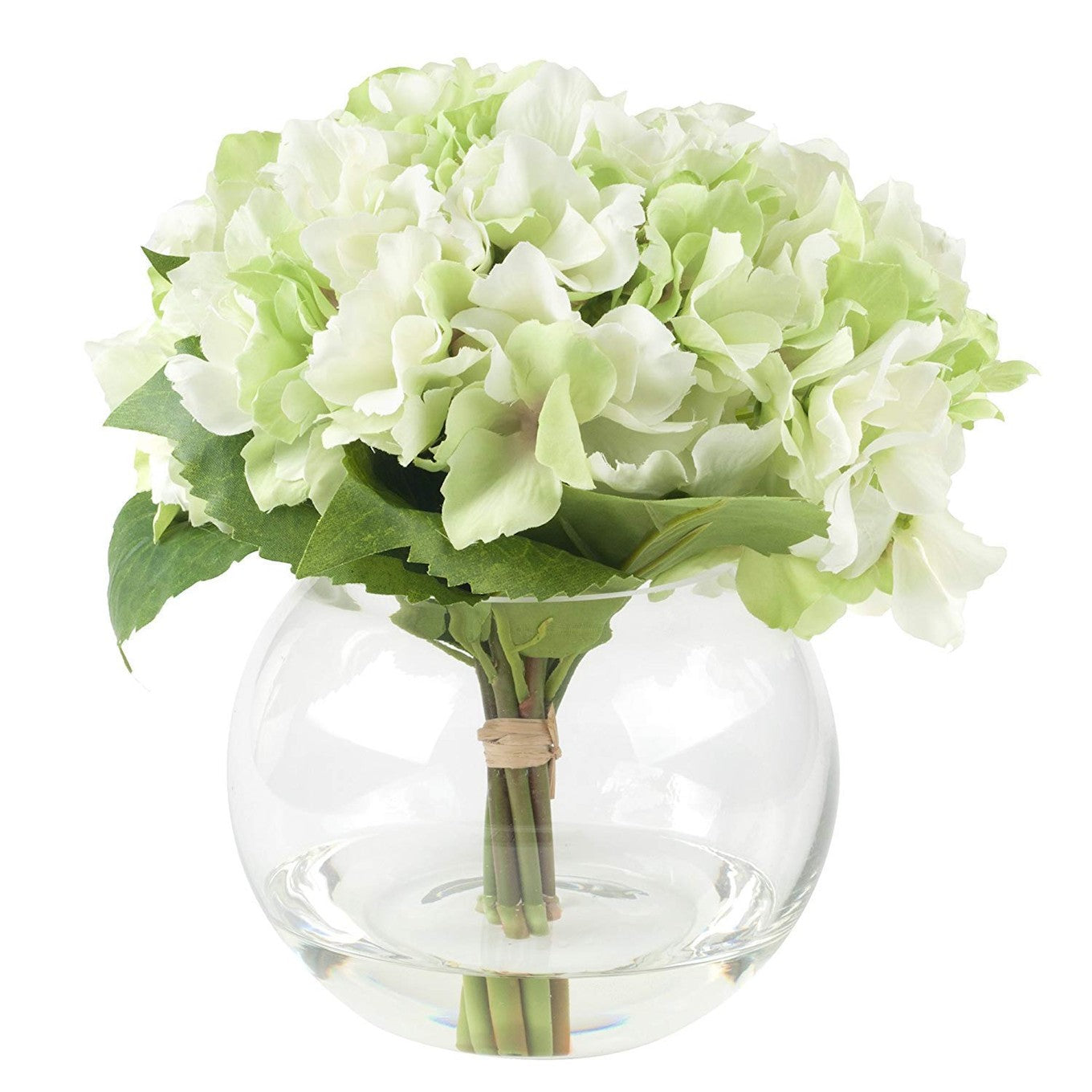 Periwinkle Azolla simple vase for minimal home decor, clear glass with sleek, modern design perfect for minimalist interior styling.