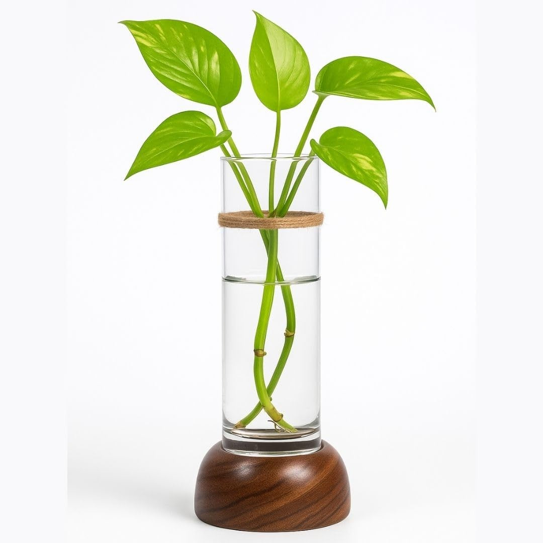 Periwinkle Azolla minimalist vase for modern home decor, featuring a sleek, simple design in neutral tones, perfect for stylish interior accents.