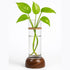Periwinkle Azolla minimalist vase for modern home decor, featuring a sleek, simple design in neutral tones, perfect for stylish interior accents.