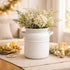 Decorative flower vase from Periwinkle Azolla for home decor, featuring a stylish design suitable for living room or dining space.
