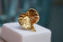 14k gold-plated brass forest leaf ring from Beige Briseis featuring an adjustable plant-inspired design in jewelry and watches.