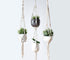 Silver Simba macrame plant hanger for indoor and outdoor use, featuring intricate knotted design and space for potted plants.