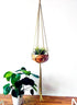 Silver Simba macrame plant hanger with woven design holding a potted plant for home and garden decor.