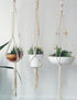 Silver Simba macrame plant hanger for home and garden, featuring intricate knotted design and space for hanging potted plants.