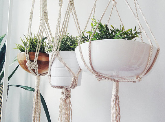 Silver Simba macrame plant hanger for home and garden, showcasing intricate knotted design and hanging planters.
