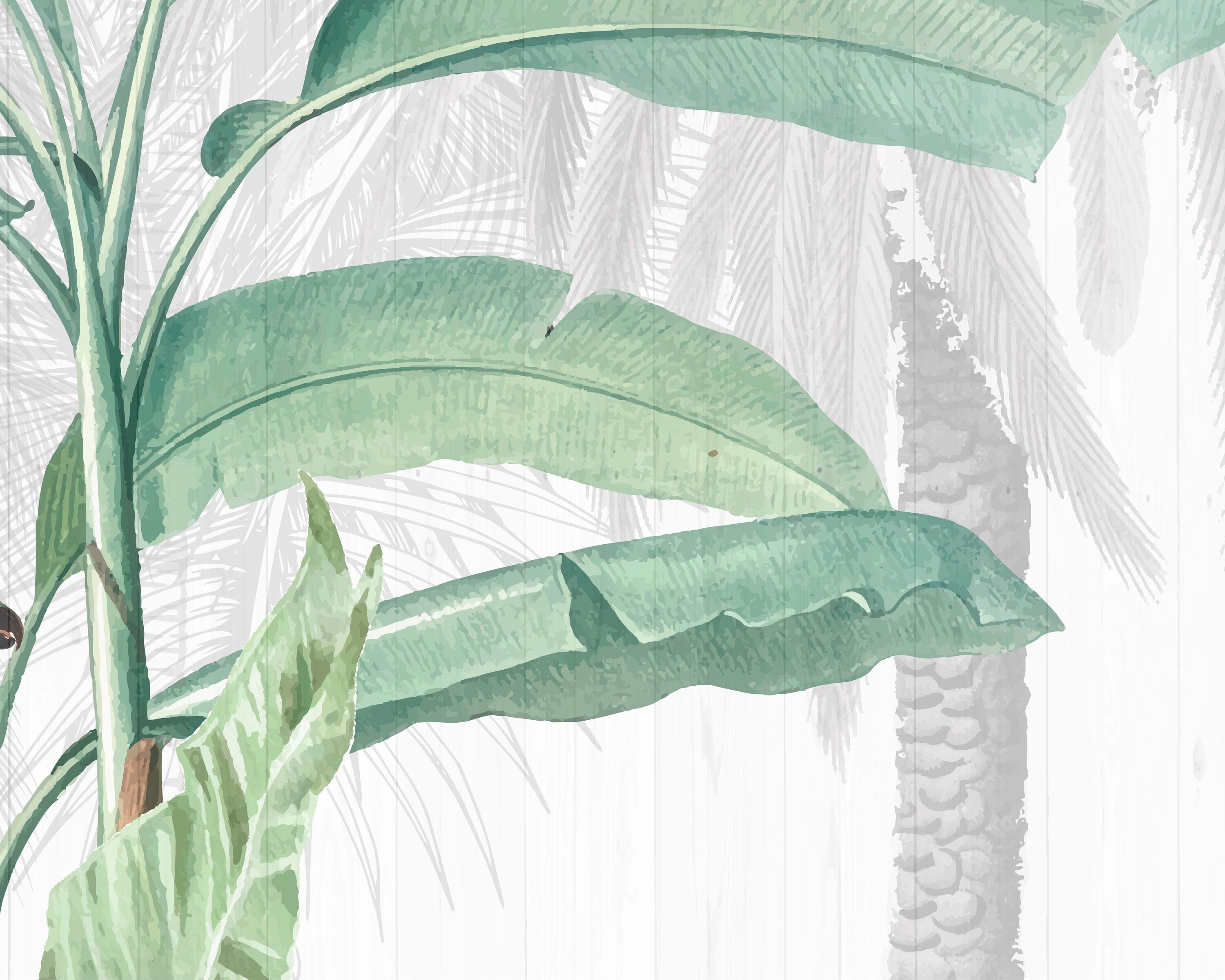 Green Tulsi tropical jungle wallpaper mural featuring lush green leaves and vibrant jungle scenery for home decor.