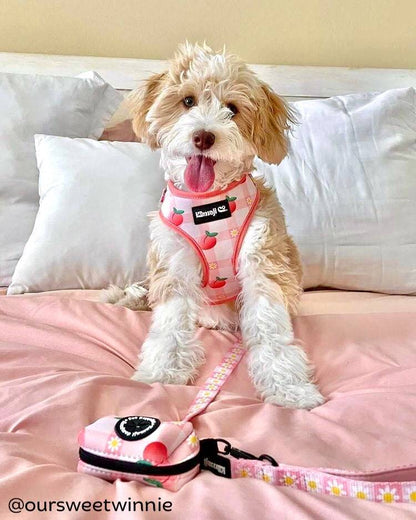 Lilac Hemera Precious Peach Collection adjustable pet harness with peach-colored straps and secure buckle for small dogs or cats.