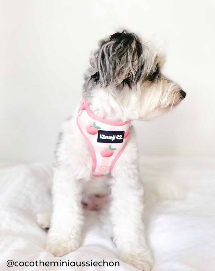 Lilac Hemera Precious Peach Collection adjustable pet harness with soft peach-colored straps and secure buckle.