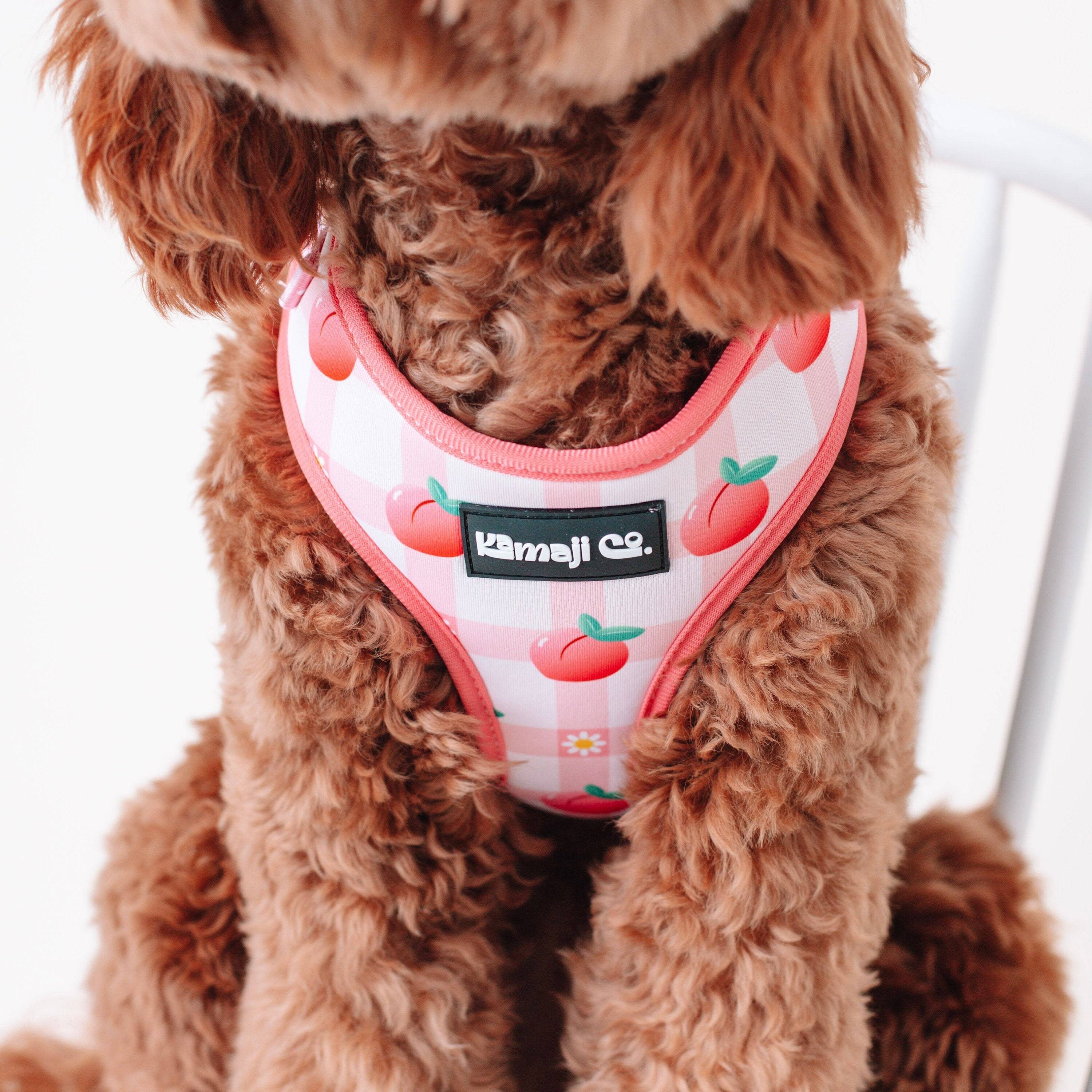 Lilac Hemera Precious Peach Collection adjustable pet harness with peach-colored fabric and secure buckle for small pets.