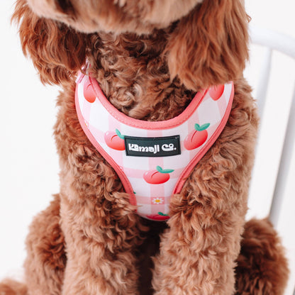 Lilac Hemera Precious Peach Collection adjustable pet harness with peach-colored fabric and secure buckle for small pets.