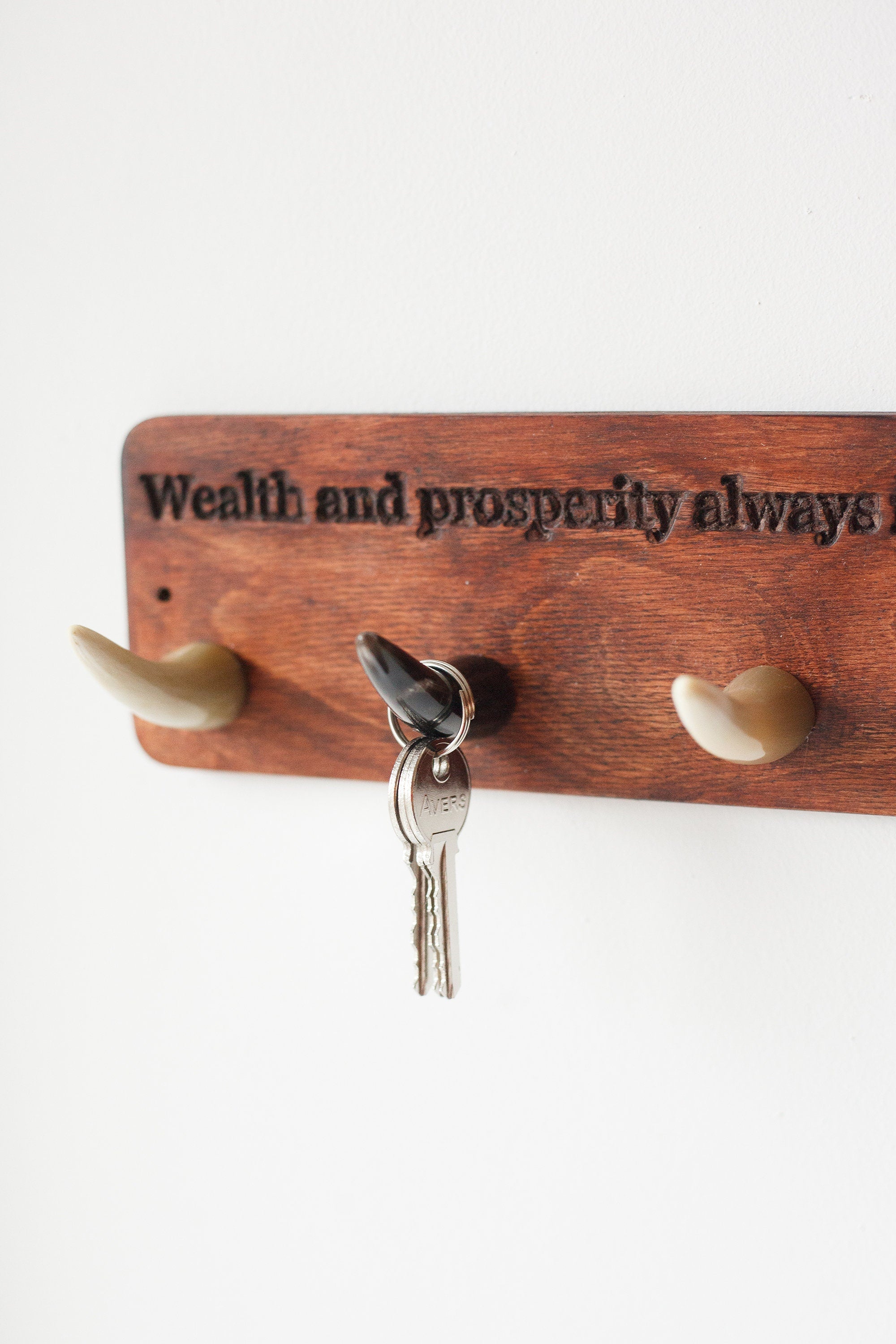 Coral Chronos wall key holder hook for entryway, jewelry and watch organizer with multiple hooks for keys and accessories.