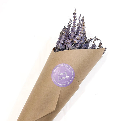 Dried French lavender flowers in a jar, used for home decor, from Carmine Arachne, showcasing fragrant, purple lavender blooms.