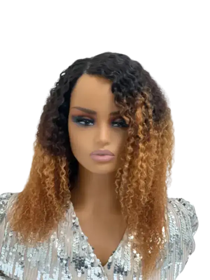 Ombre Afro wig with bold, beautiful human hair curls showcasing a vibrant color transition and voluminous hairstyle.