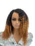 Ombre Afro wig with bold, beautiful human hair curls showcasing a vibrant color transition and voluminous hairstyle.