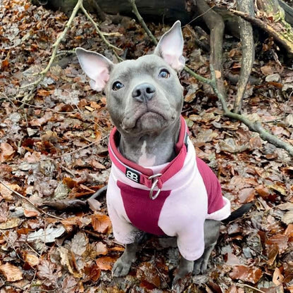 Pink and wine waterproof dog fleece by Scarlet Nyx, cozy petwear for dogs, with a soft fleece material shown in the image.