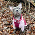 Pink and wine waterproof dog fleece by Scarlet Nyx, cozy petwear for dogs, with a soft fleece material shown in the image.