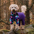 Waterproof dog fleece by Scarlet Nyx in harlequin and purple with a cozy, soft fleece fabric for pets.
