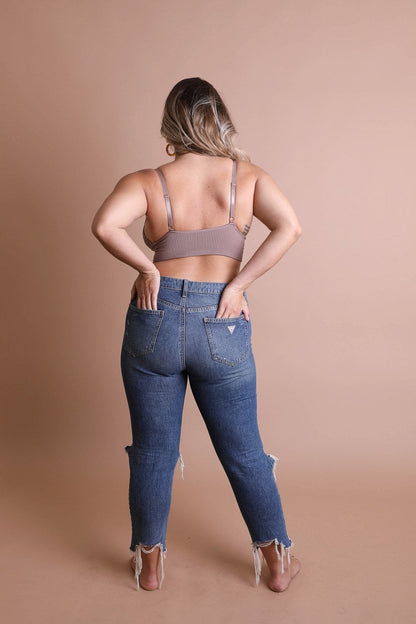 Plus-size waistband loop lace brami by Periwinkle Aether featuring elegant stretchy lace design and comfortable fit.