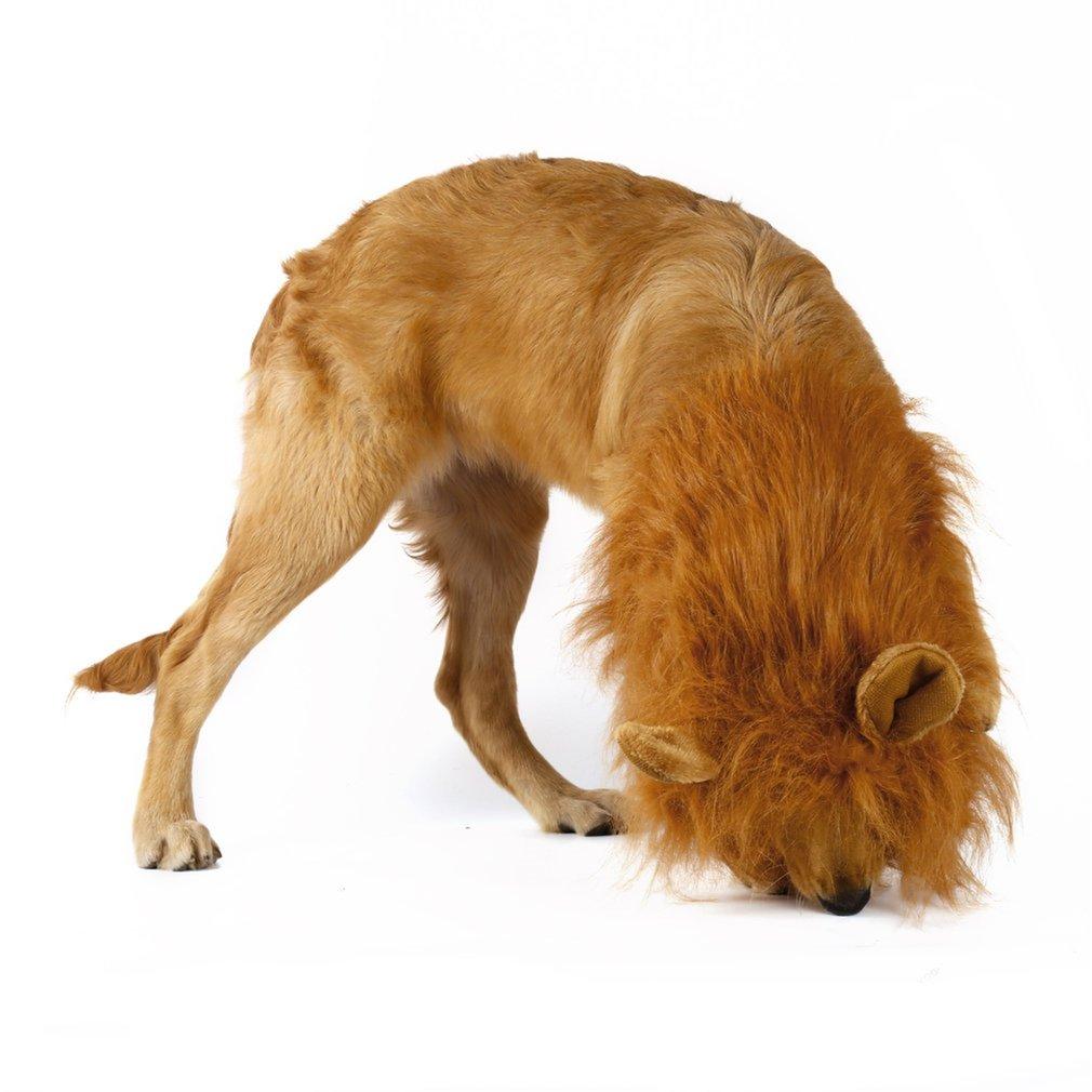 Yellow Pandora lion-themed dog wig for pets, featuring a realistic lion mane and playful design for pets&
