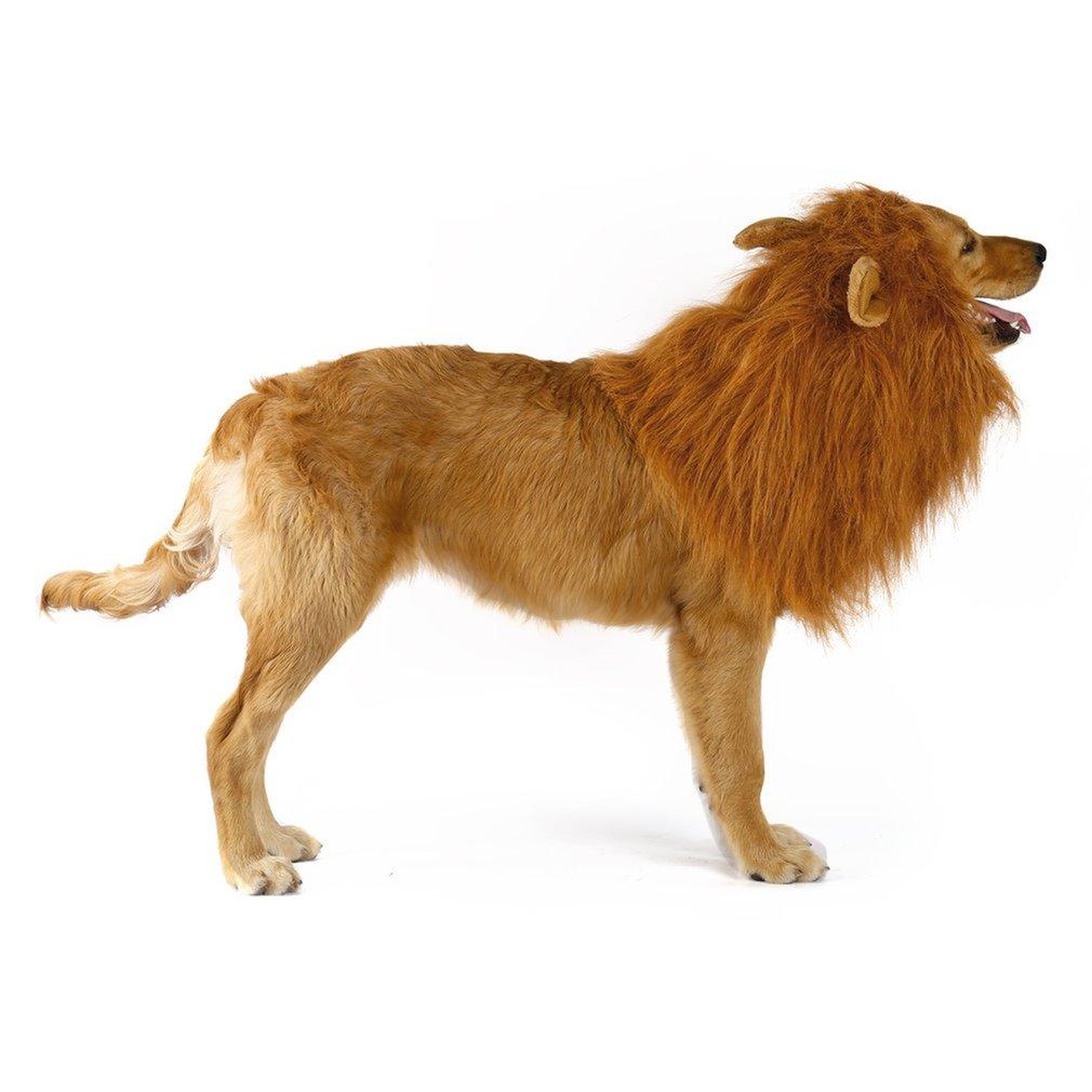 Yellow Pandora lion-themed dog wig for pets, featuring a realistic lion mane and playful design for dogs.