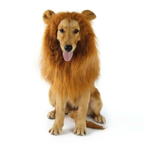 Yellow Pandora lion theme dog wig for pets, featuring a realistic lion mane and playful design for pet costume or dress-up.
