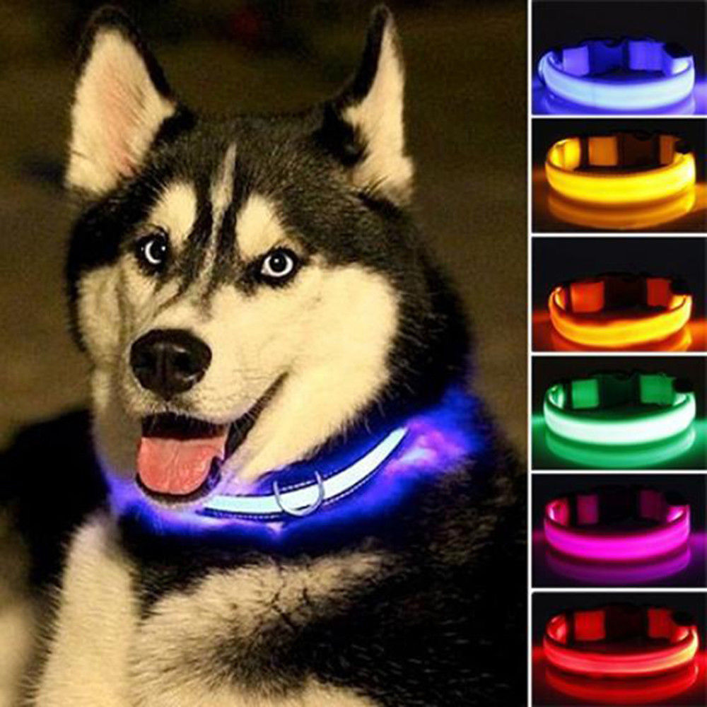 Yellow Pandora 2-piece nylon LED dog collar set with adjustable straps and bright LED lights for visibility during walks.