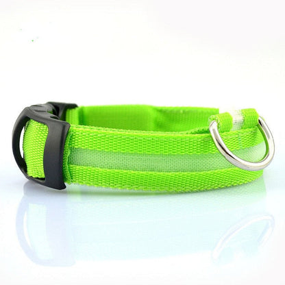 Yellow Pandora 2-piece nylon LED dog collar set with adjustable leashes and bright LED lights for visibility.