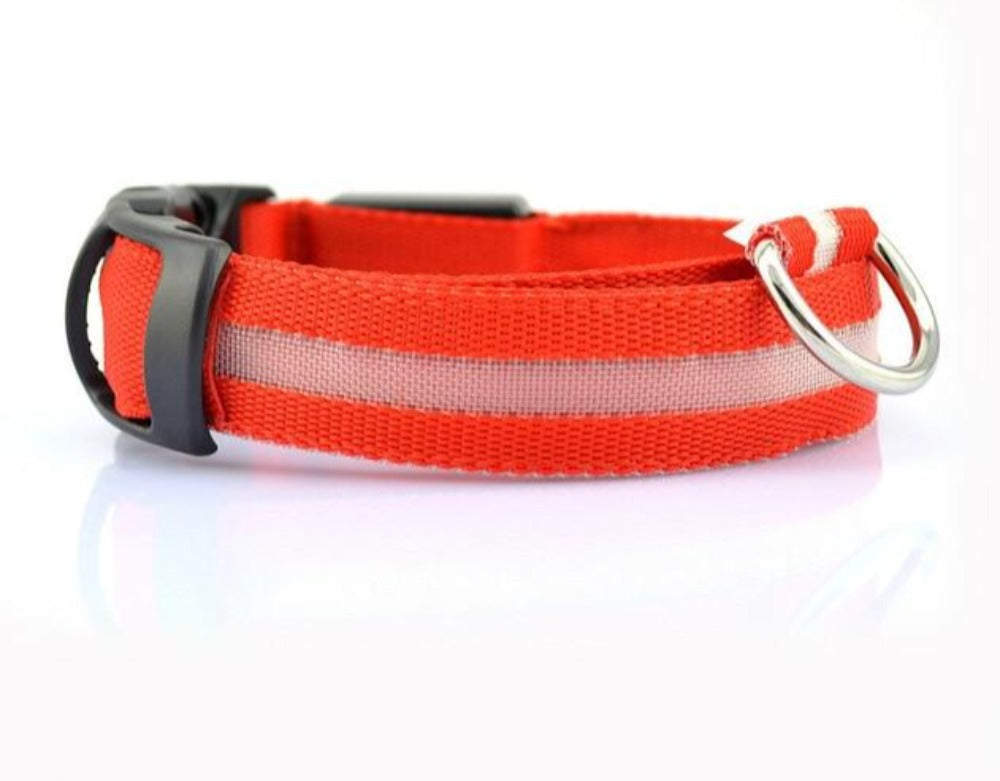 Yellow Pandora 2-piece nylon LED dog collar set with adjustable straps and bright LED lights for visibility and safety.