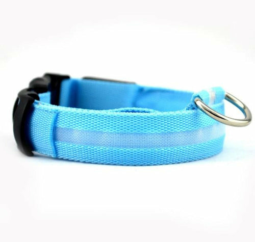 Yellow Pandora 2-piece nylon LED dog collar set with adjustable straps and bright LED lights for visibility.