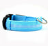 Yellow Pandora 2-piece nylon LED dog collar set with adjustable straps and bright LED lights for visibility.