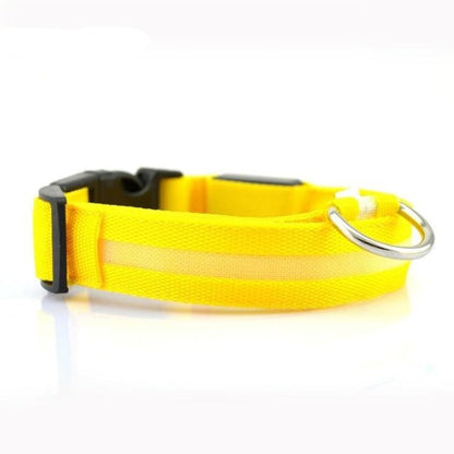 Yellow Pandora 2-piece nylon LED dog collar set with adjustable straps and bright LED lights for visibility and safety.
