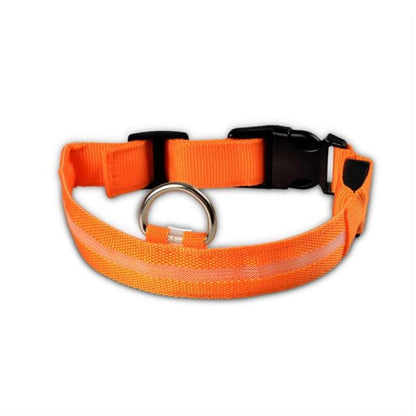 Yellow Pandora 2-piece nylon LED dog collar set with adjustable leashes and bright LED lights for visibility during walks.