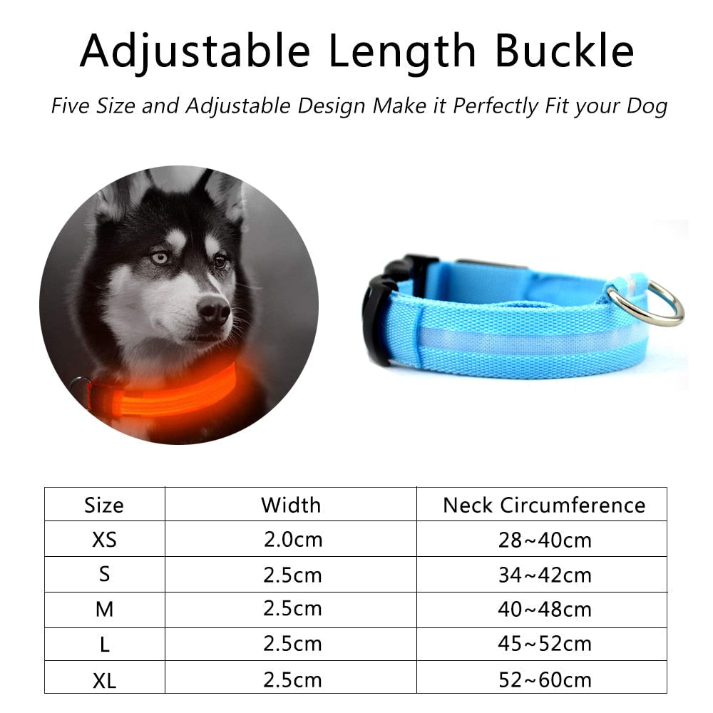 Two yellow nylon LED dog collars from Yellow Pandora with adjustable straps and reflective features for visibility.