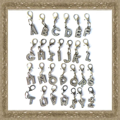 Salmon Oscar A-Z crystal letter pet charm with rhinestones, designed for leashes, collars, and petwear accessories.