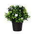 Small potted artificial flowering boxwood plant by Lemon Artemis, UV resistant, ideal for home decor, 20cm tall.