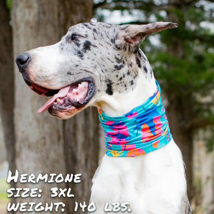 Sky Blue Prometheus The Wanderer Pup Scruff leash with durable design, featuring a comfortable handle and vibrant color for pets.