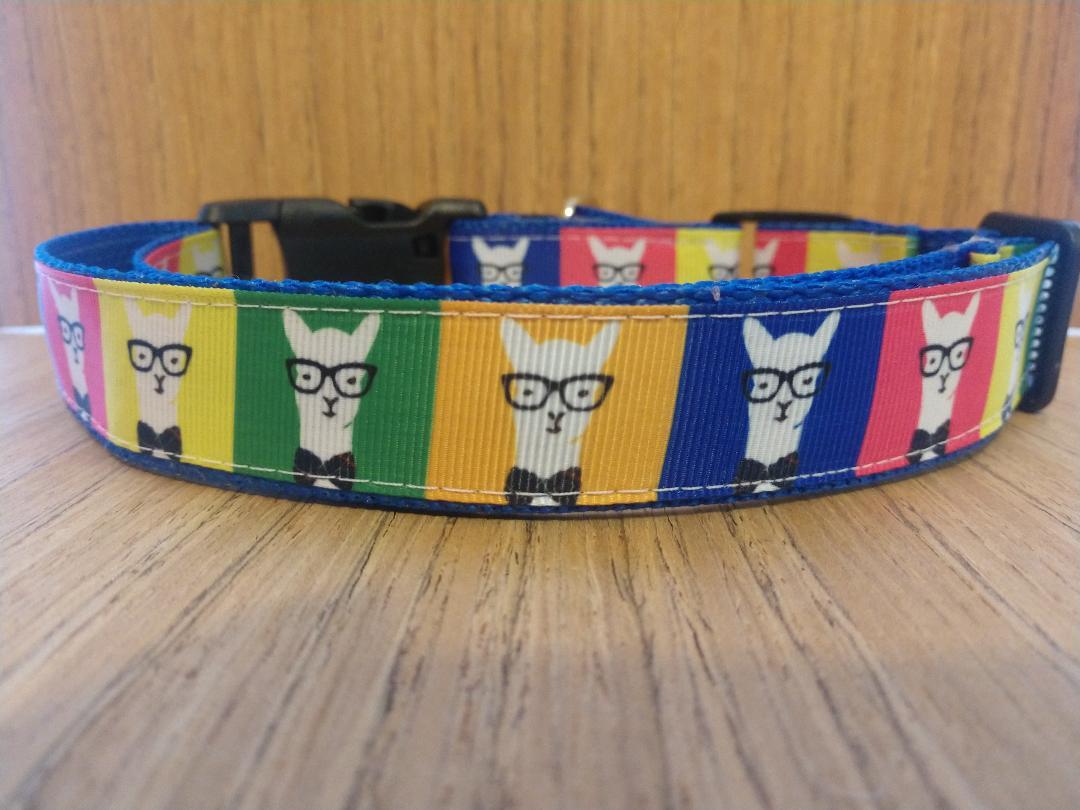 Large Hipster Llamas leash by Green Thalassa showing a colorful, durable pet leash with llama-themed design for dogs.