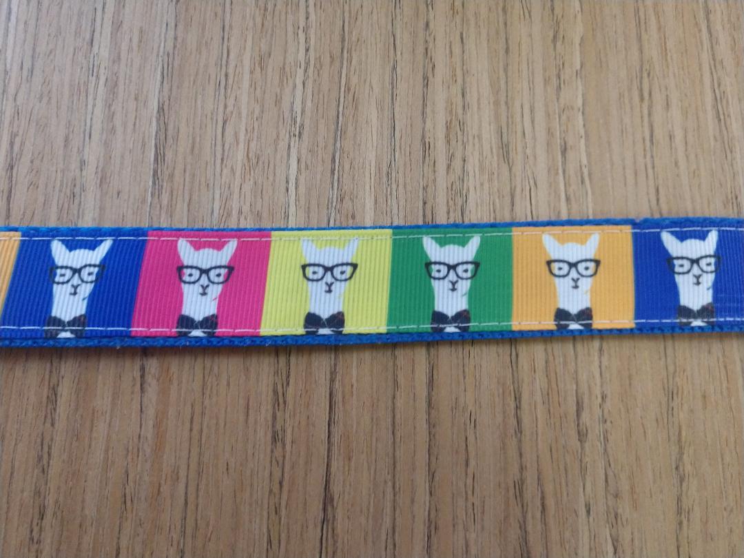 Green Thalassa large Hipster Llamas leash with colorful llama pattern, suitable for pets, shown in a close-up thumbnail image.