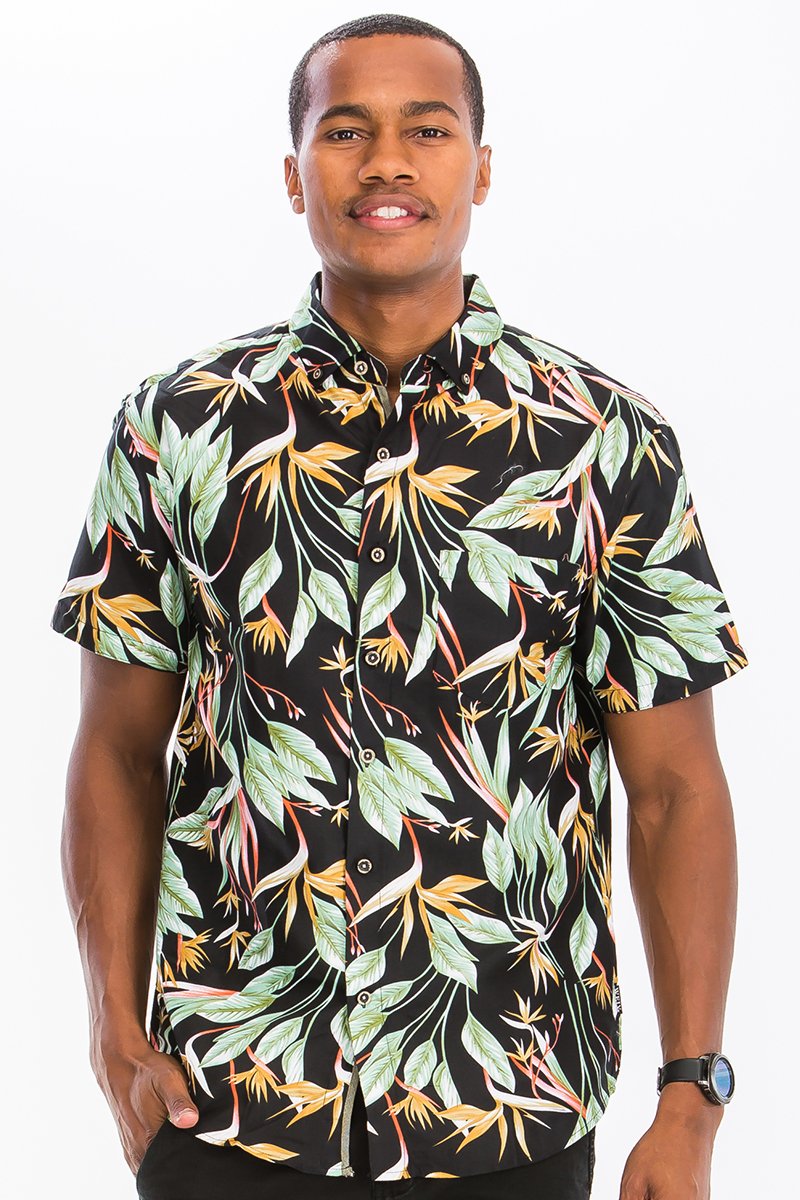 Lime Milo men&